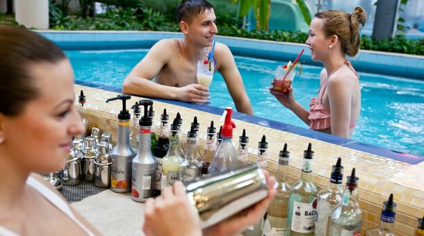 Gyula Wellness Villa