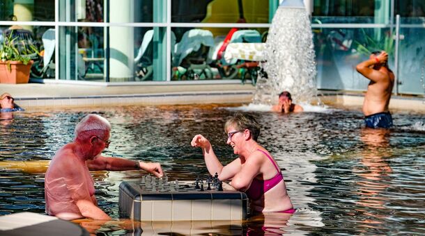 Gyula Wellness Villa
