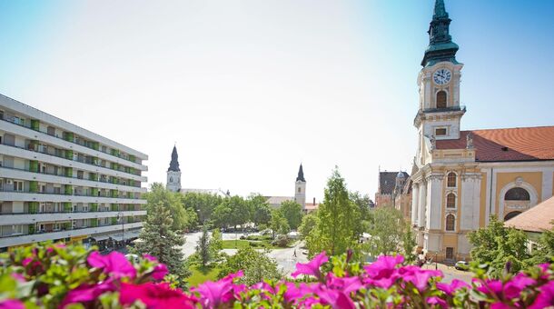 Aranyhomok Business-City Wellness Hotel****