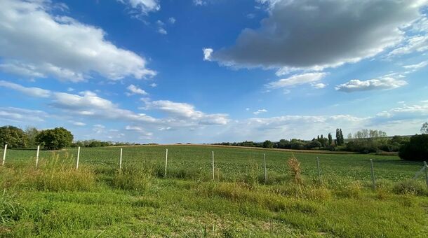 Janus Country Site