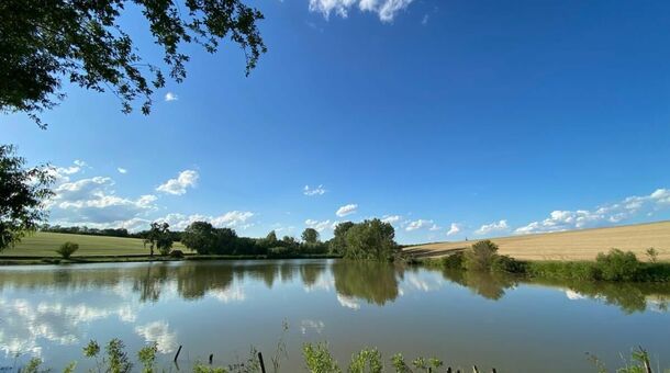 Janus Country Site Árpád-ház