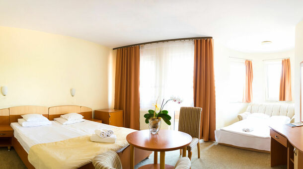 Hotel Venus***