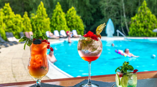 Kastélyhotel Sasvár Resort