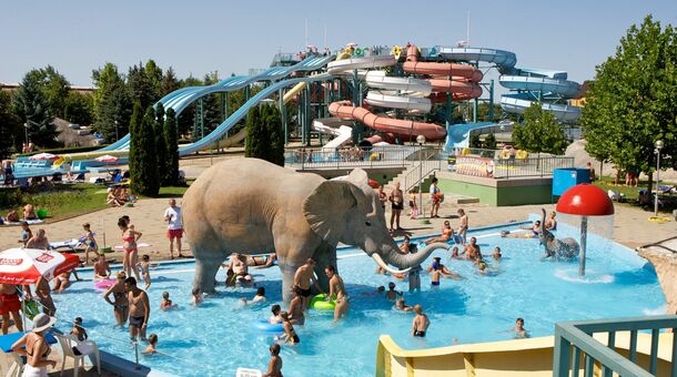 Hotel Aurum Family****