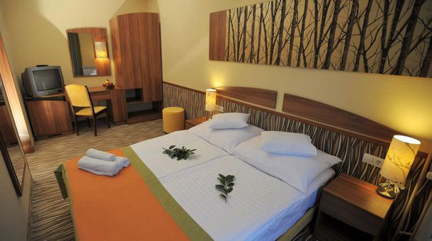 Park Hotel*** Gyula