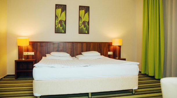 Hotel Ginkgo****