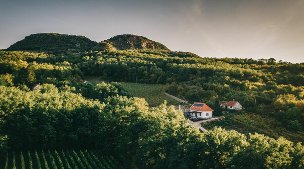 FATA Birtok