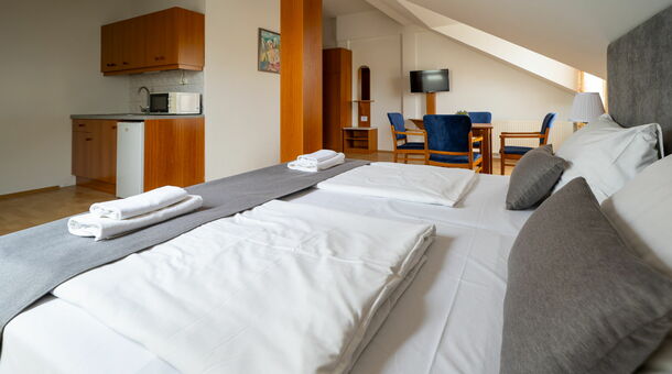Hotel Forrás***