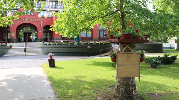 Mátyás Király Gyógy- és Wellness Hotel
