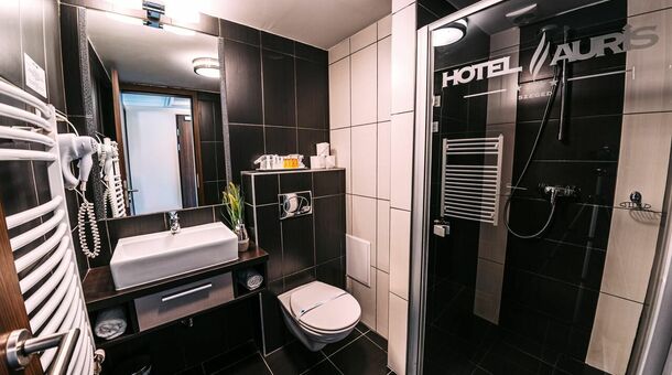 Hotel Auris****