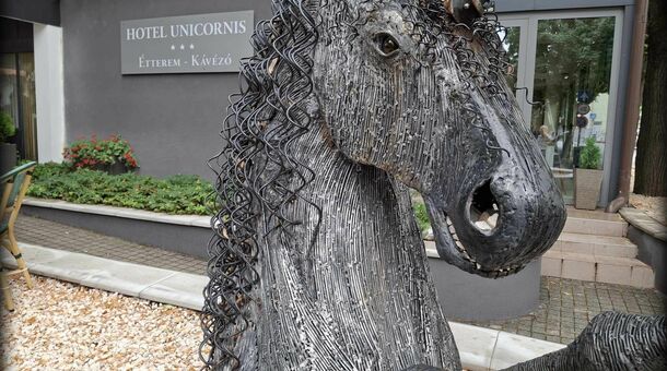 Hotel Unicornis***