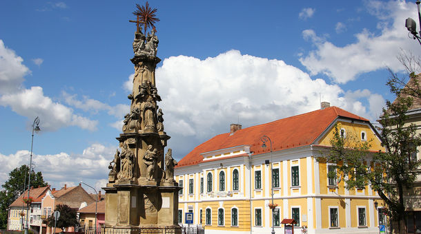 Naspolya Panzió