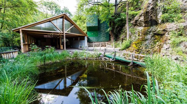 Öko-Park Panzió