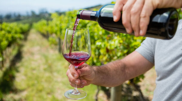 Nagypince Borhotel Wine & Spa****