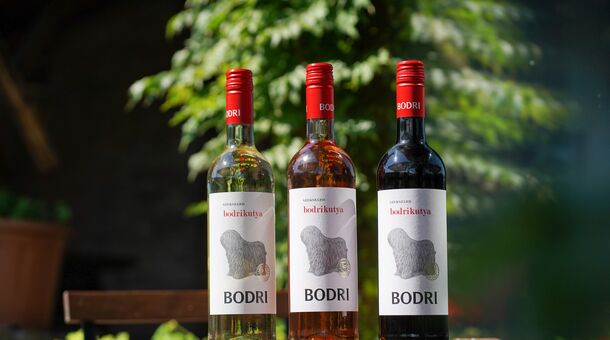 Bodri Birtok