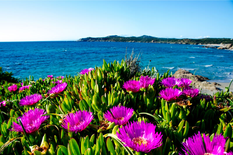 Alghero