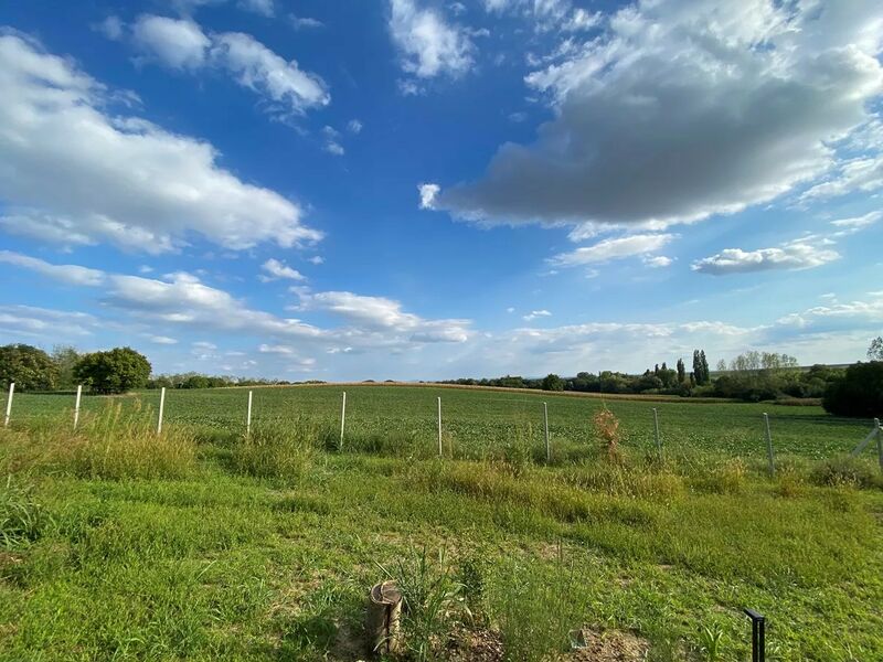 Janus Country Site