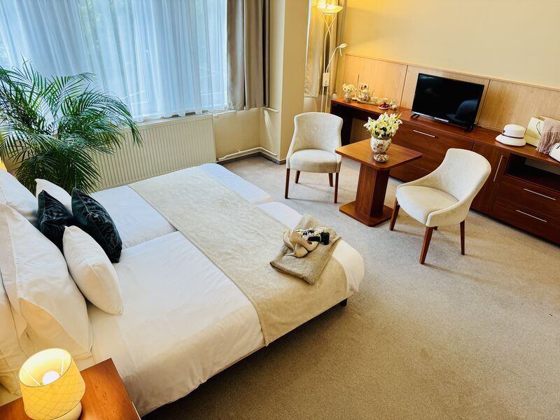 Plaza Hotel*** Gyula