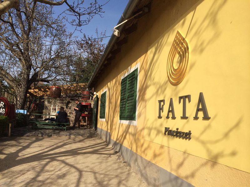 Fata Pince