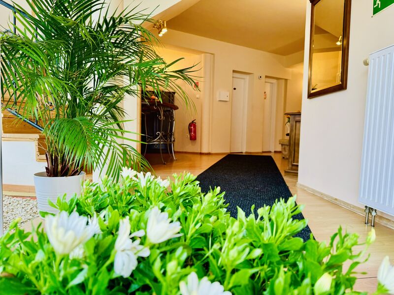 Cozy Garden Apartman II.