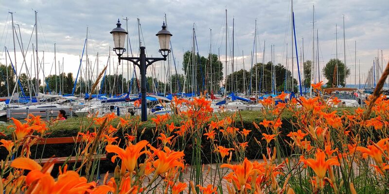 Balatonföldvár