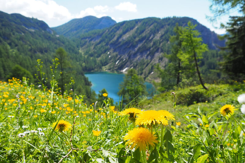 Tauplitz