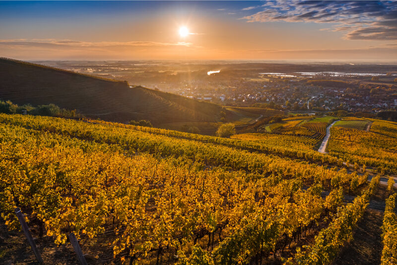 Tokaj-Hegyalja