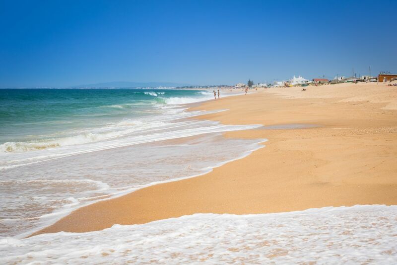 Faro