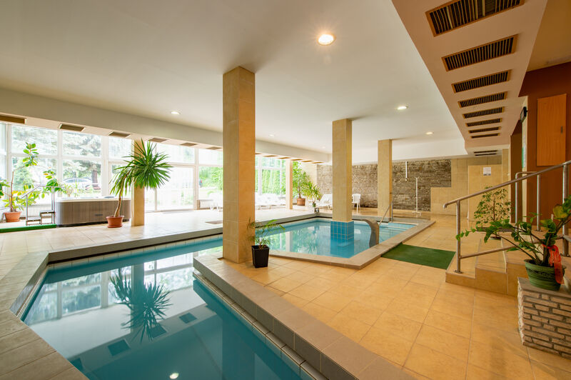 Wellness részleg