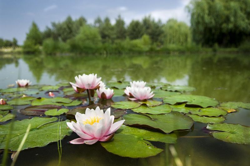 Bodrogi Kúria Wellness Hotel****