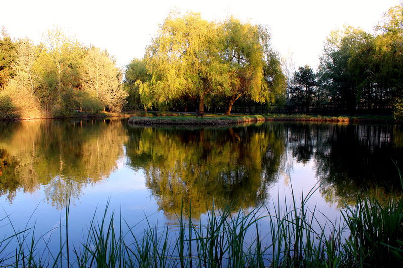 Bodrogi Kúria Wellness Hotel****