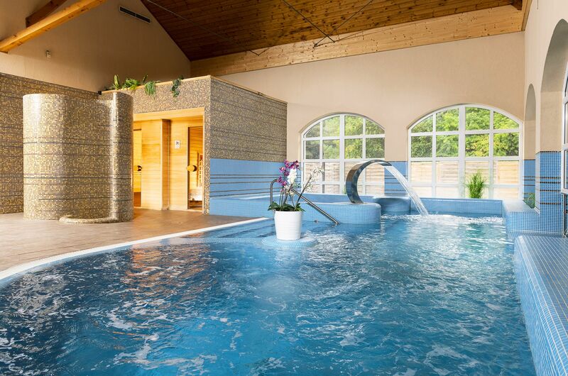 Wellness