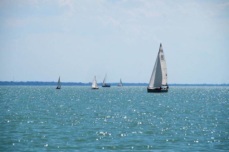 Balaton