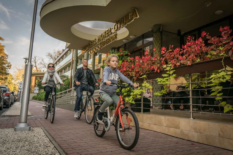 Wellness Hotel Gyula****superior