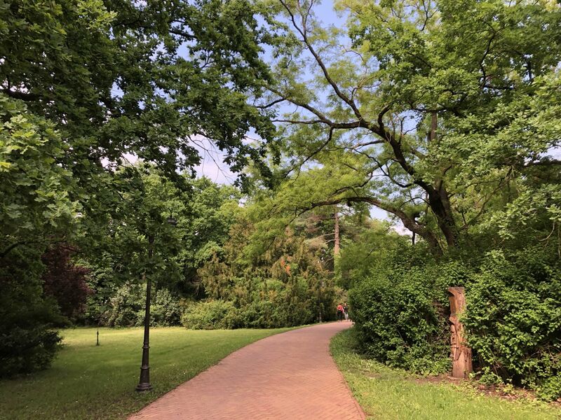 Szarvasi Arborétum
