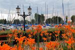 Családi lazítás Balatonföldváron!