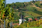 Hajós borkaland Tokaj-Hegyalján!