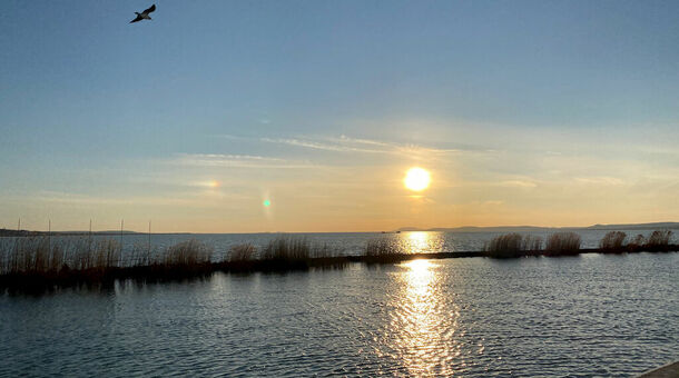BalaLake Resort
