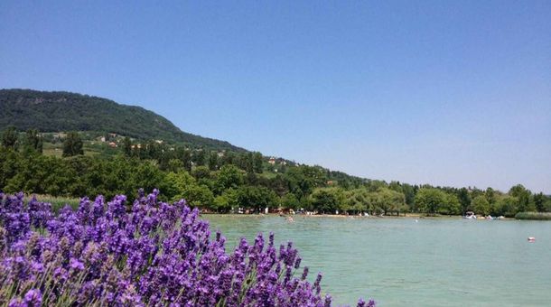 Hotel Bonvino Wine & Spa****