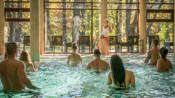 Wellness Hotel Gyula****superior