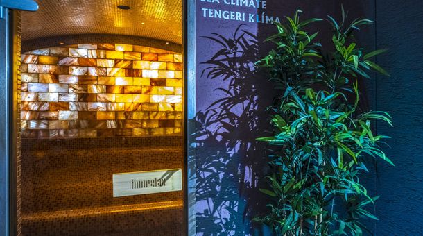 Hotel Stáció**** Wellness és Konferencia