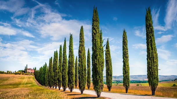 6 nap a napfényes Toszkánában!