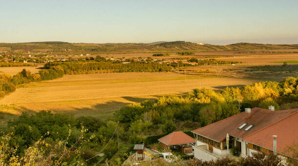 Angyal Borászat és Szőlőbirtok