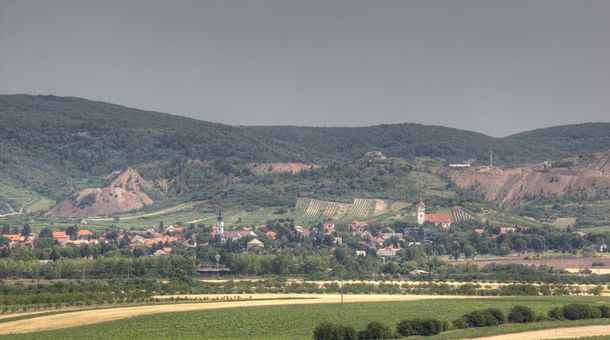 Angyal Borászat és Szőlőbirtok