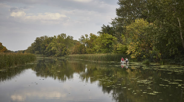 Kormorán Kikötő és Vendégházak