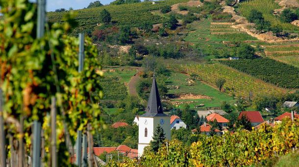 Hotel Csillag Tokaj***