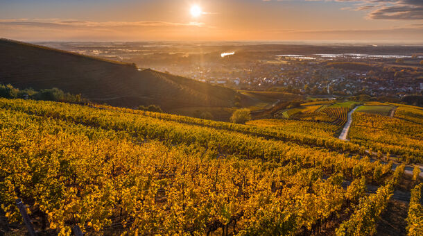 Hotel Csillag Tokaj***