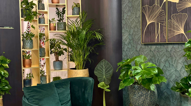 Hotel Wellamarin****superior