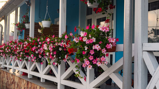 Kék Laguna Apartmanok