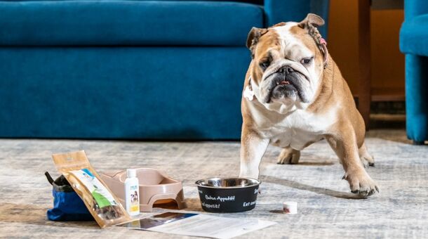 Balneo Hotel Zsori Thermal & Wellness